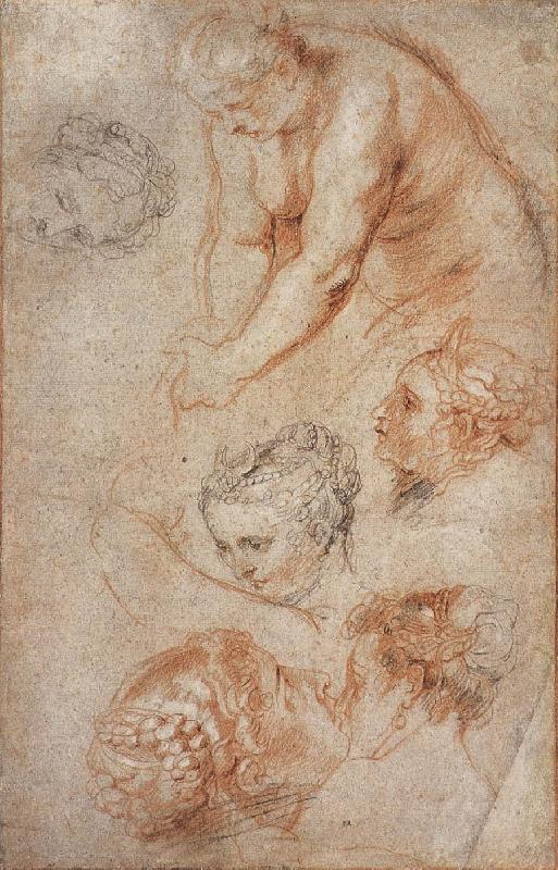 Peter Paul Rubens Woman sketch china oil painting image